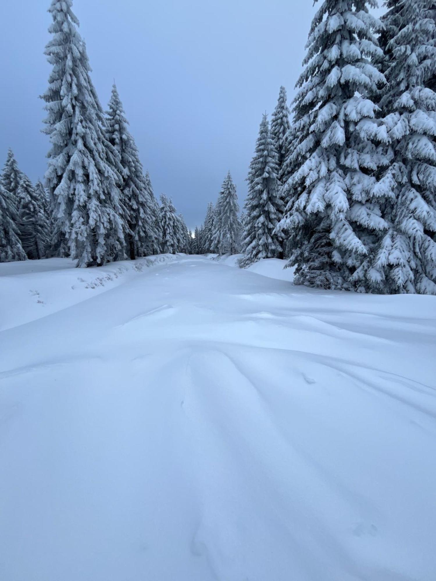 Woodyou - Izerski Resort Świeradów-Zdrój Exterior foto